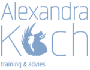 Logo-A-Koch-Def-kopie.png