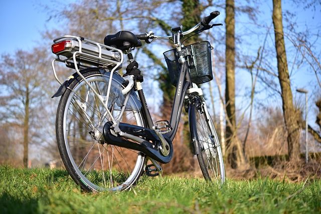 Verkoop e-bikes Duitsland vlakt af