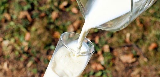 Niederländer trinken weniger Milch