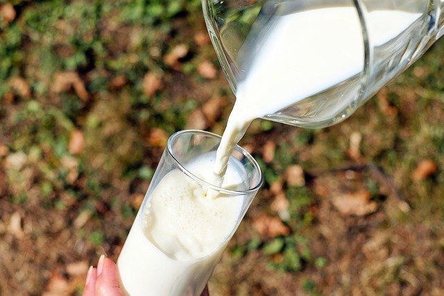 Niederländer trinken weniger Milch