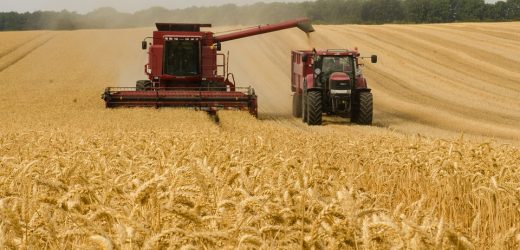 Als Landwirt aktiv in Deutschland und den Niederlanden: Wie funktioniert das?
