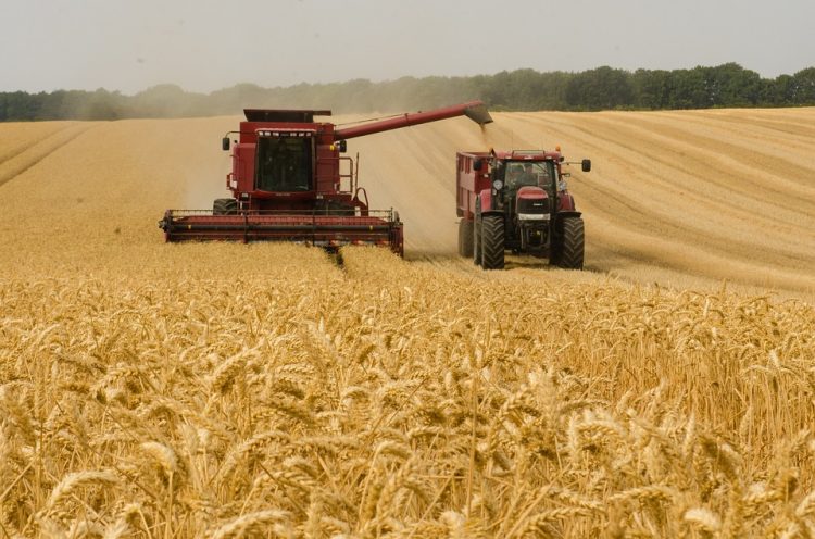 Als Landwirt aktiv in Deutschland und den Niederlanden: Wie funktioniert das?