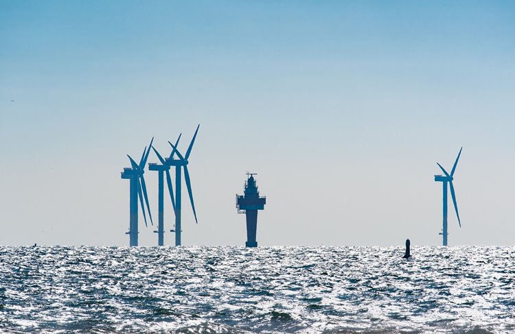 Nordniederlande möchten zum Zentrum für grünen Wasserstoff werden