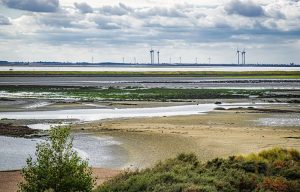 Klimaforschung Niederlande