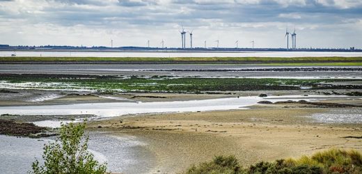 Klimaforschung in den Niederlanden: Beobachtungen von Ort zu Ort