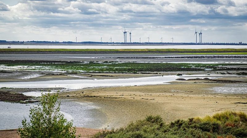 Klimaforschung Niederlande