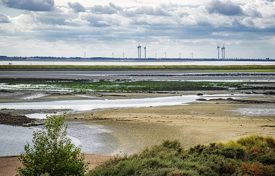Klimaforschung in den Niederlanden: Beobachtungen von Ort zu Ort