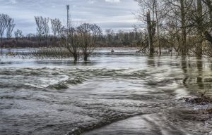 Streitkräfte Niederlande Hochwassereinsatz