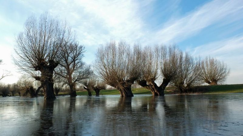 Symbolbild Hochwasser Regionale Wasserwirtschaft