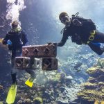 Die Wiederherstellung von Korallenriffen im Burgers' Zoo