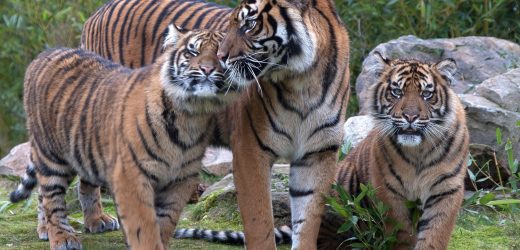 Im Zoo: Praxisdialog zum Thema Nachhaltigkeit