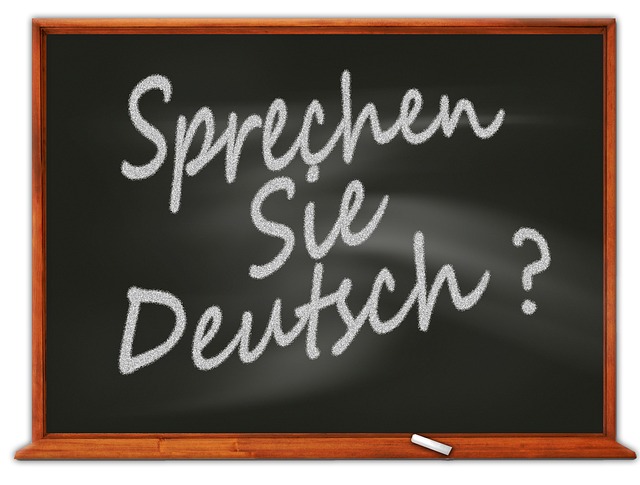 Docenten Duits over de toekomst van hun vak: “Stop met naamvallen stampen”