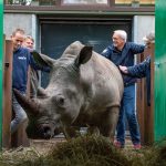 Foto: Noor Stoep / Königlicher Burgers' Zoo