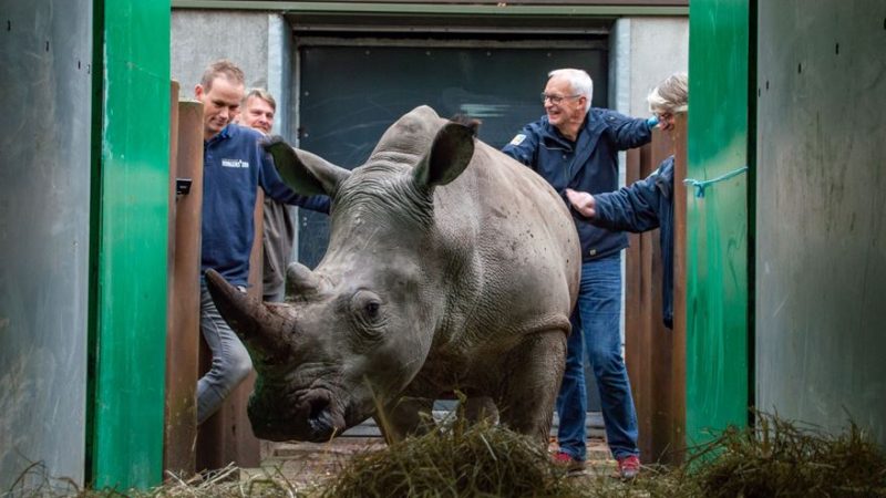 Foto: Noor Stoep / Königlicher Burgers' Zoo