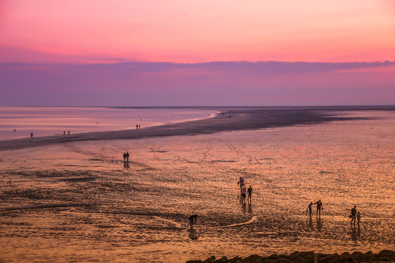 Niederlande, Dänemark und Deutschland möchten Schutz des Wattenmeeres stärken