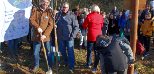 Nederlandse en Duitse basisschoolleerlingen planten samen bomen