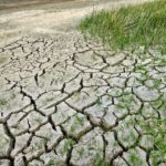 Nieuwe Europese subsidie: samenwerken om droogte tegen te gaan