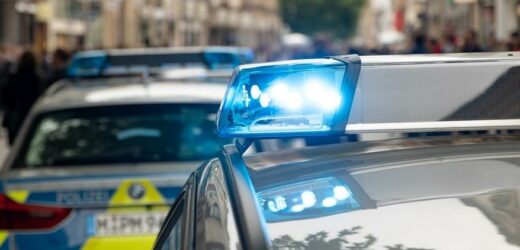 Deutsch-Niederländische Polizeiaktion gegen Automatensprenger
