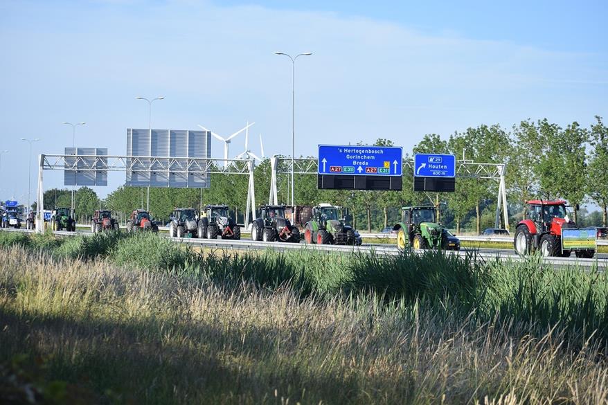 Seit vielen Monaten protestieren die niederländischen Bauern gegen die Pläne der Regierung.