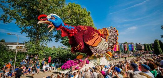 Sint Jansklooster lädt zum farbenfrohen Blumencorso