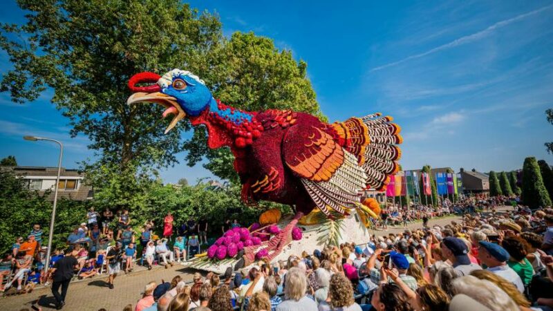 Sint Jansklooster Blumencorso