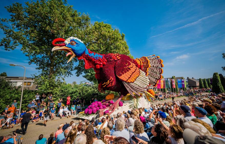 Sint Jansklooster lädt zum farbenfrohen Blumencorso