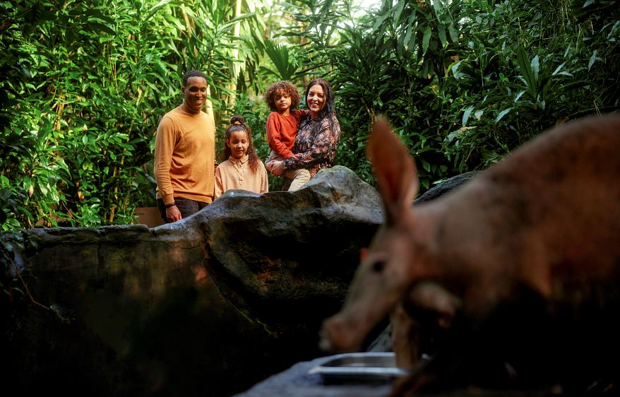 Burgers’ Zoo erhält zwei Sterne vom Michelin-Reiseführer