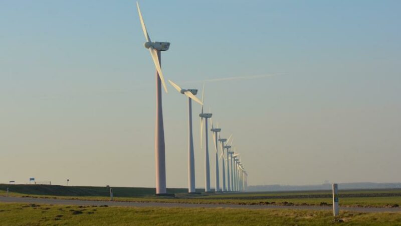 Symbolbild Niederlande Klimapolitik