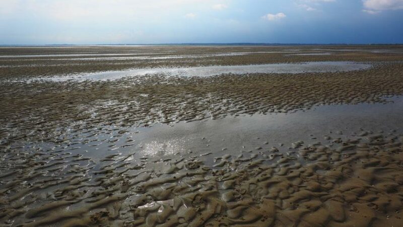 Symbolbild Niederländisches Wattenmeer