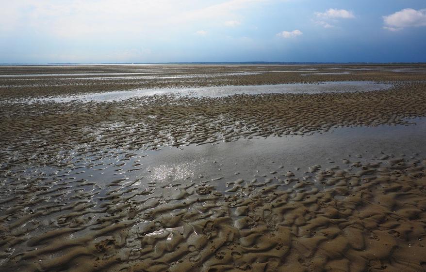 Symbolbild Niederländisches Wattenmeer