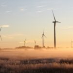 Toch windturbinepark in plaats van nationaal park