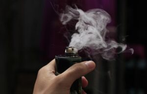 Niederlande Vapen