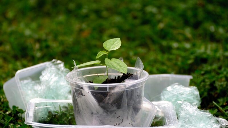 Niederländische Regierung Plastiksteuer