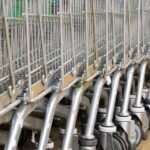 Tabakverbot Problem für niederländische Supermärkte