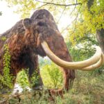 Eiszeit-Event im ZooParc Overloon
