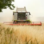 Niederländische Naturschutzziele auf Kosten der Landwirtschaft