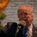 Trump für viele niederländische Unternehmer größtes Geschäftsrisiko